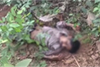 Udupi: Man found dead in bushy area near bar